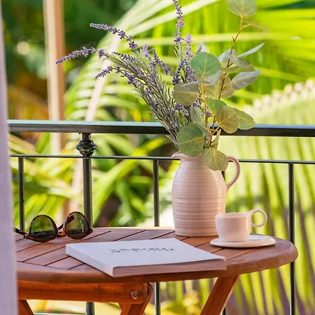 Boa Vista By An Island Funchal (Madeira)