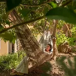 Boa Vista By An Island
